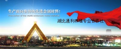 ͨB(yng)ֳ(zhun)I(y)