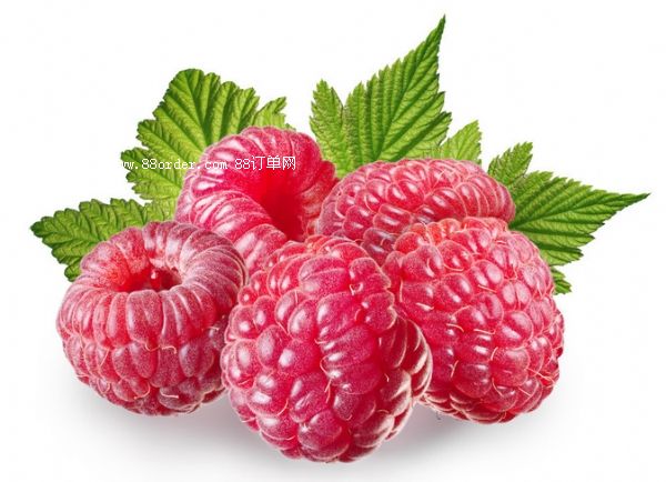 (sh)ݮƷӹoemƷNƏS
