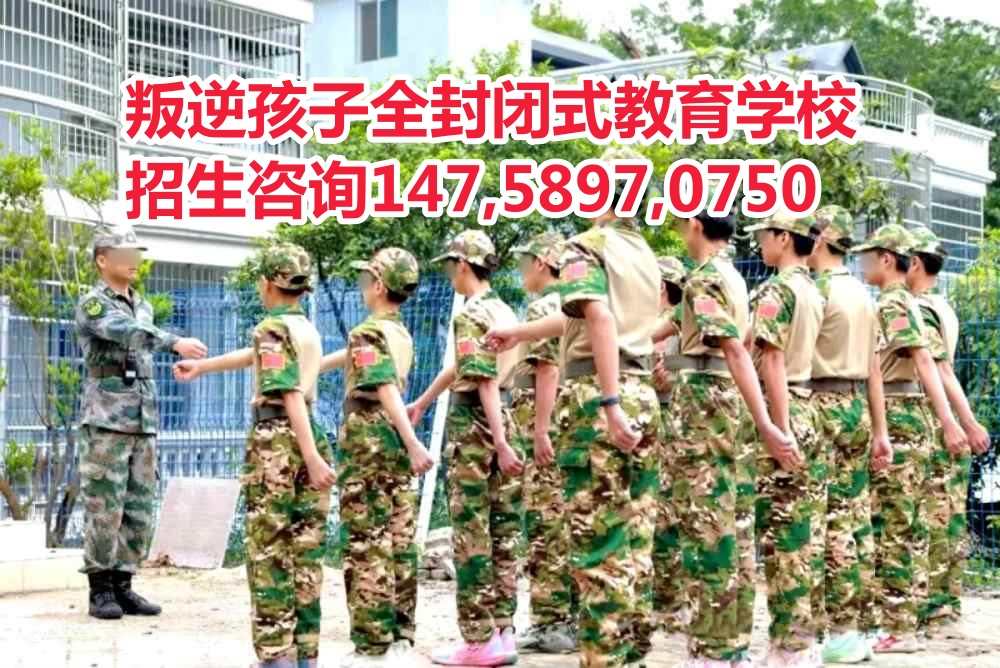 智德教育 智德教育