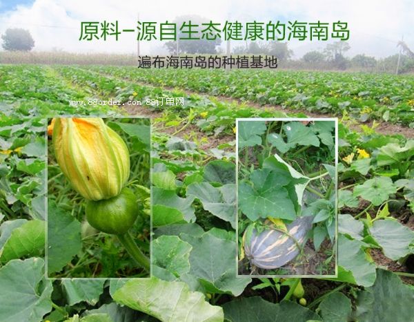 SֱNɿϹϷ Ƀ(yu)|(zh)ϹϷ