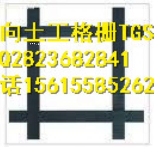 ̩pTGSG
